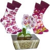 Skarpetki Rainbow Socks...