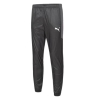 Spodnie Puma Dresowe Męskie...